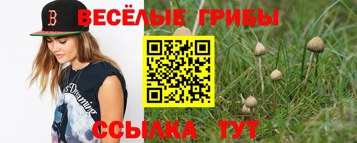 Лянтор  Галлюциногенные грибы Psilocybe  Псилоцибиновые грибы мухоморы  Вход с VPN 